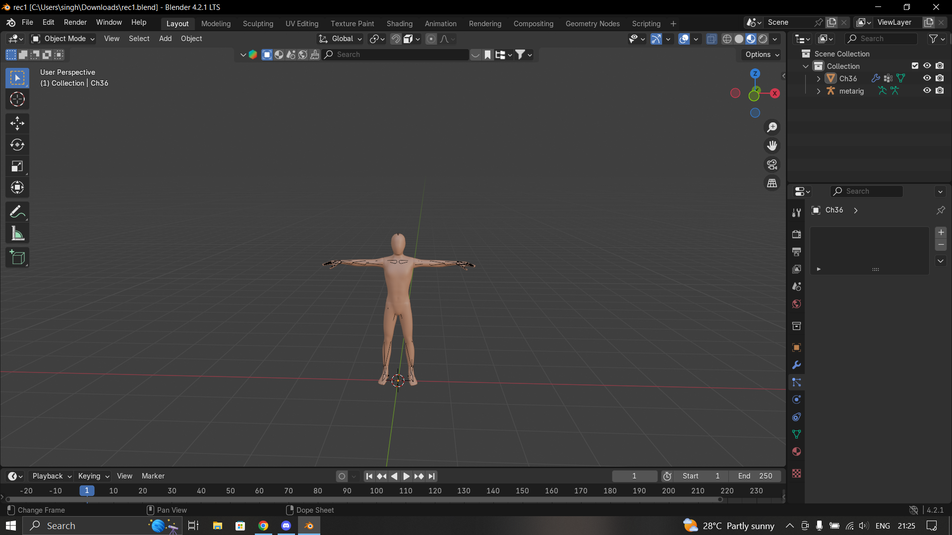 Human rig | Fab