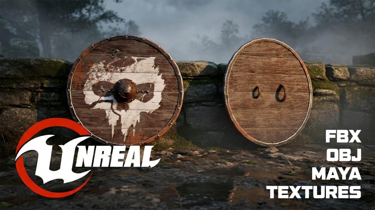 Media 1 for listing Shield Orc Old Shield