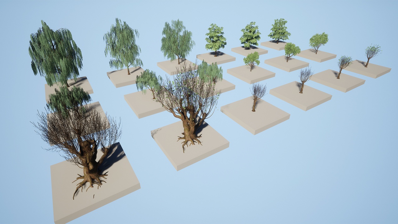 Media 1 for listing Willow trees pack