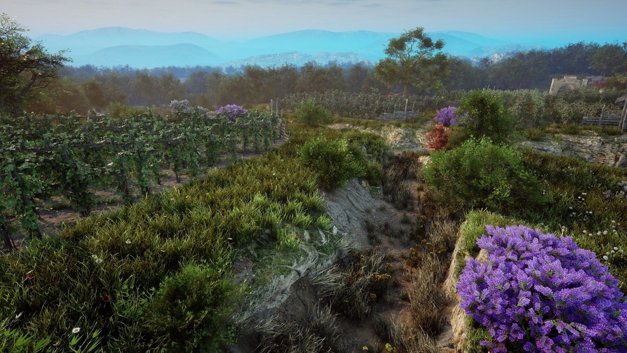 Media 1 for listing Vineyard