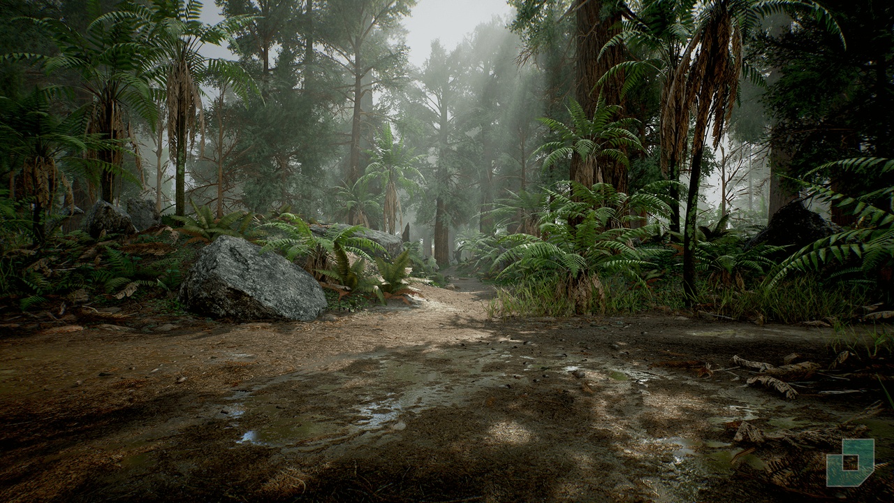 Média 1 pour l'article Redwood Forest