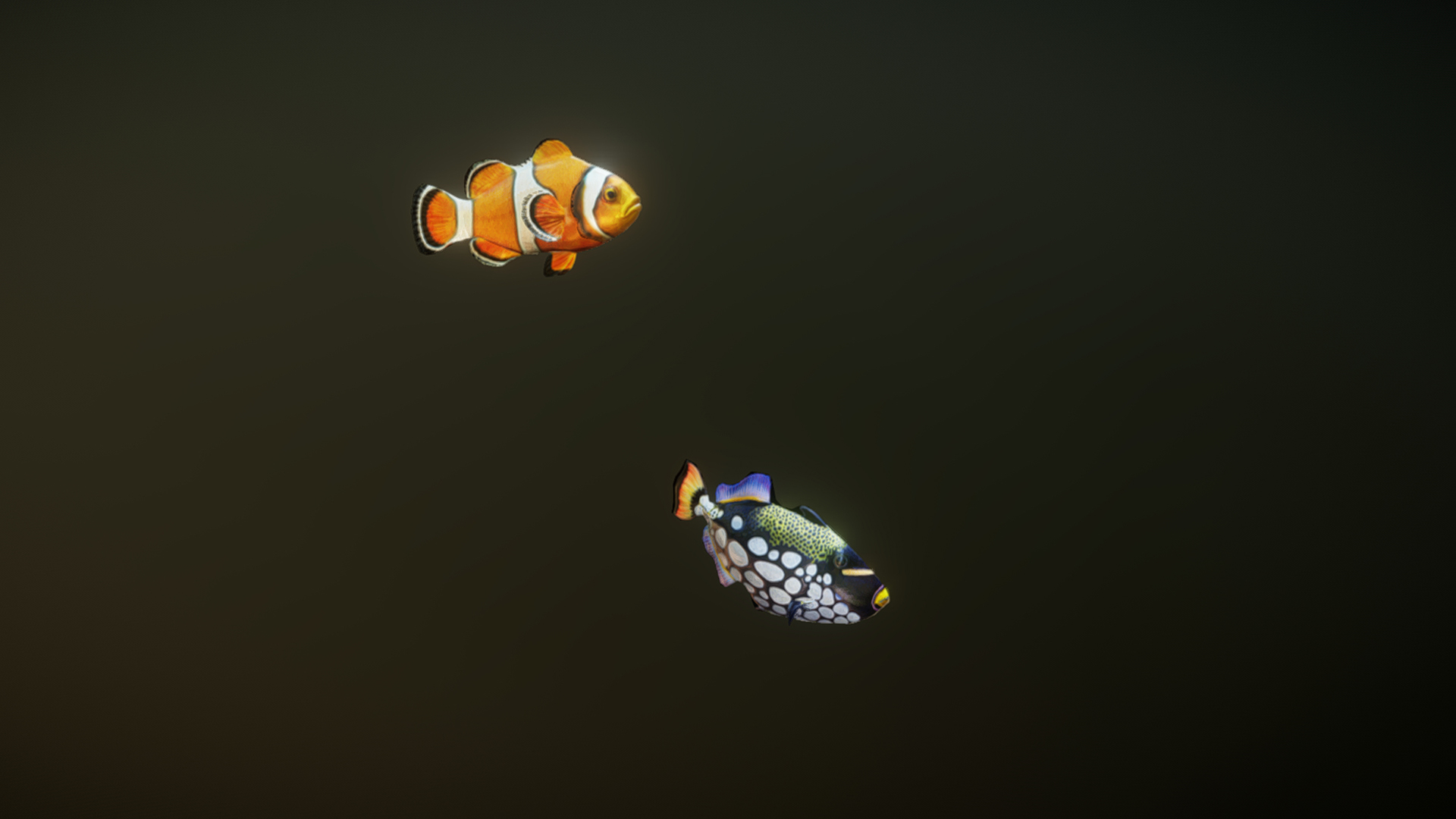 Frid Fish Animation Tropical Fish Animation 05 | Fab