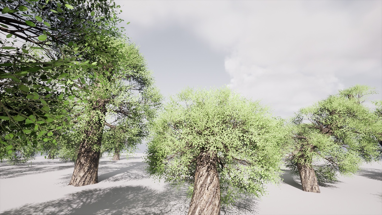 Media 1 for listing HighPoly Tree Pack 48