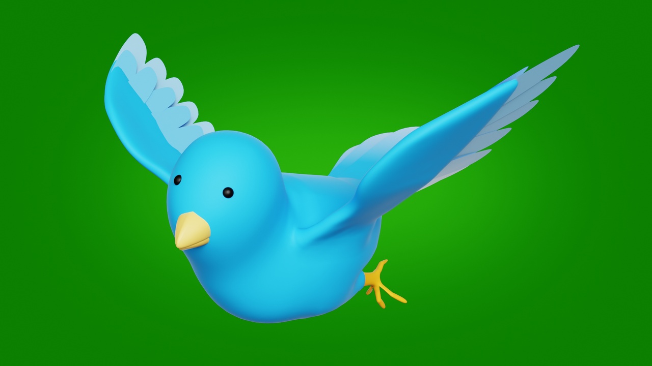 Media 1 for listing Bird