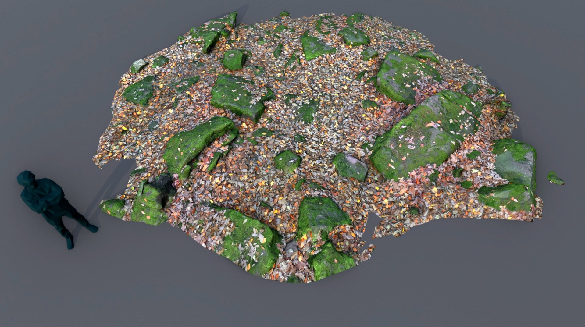 Media 1 for listing forest ground boulder module