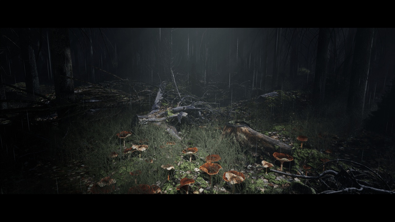 Media 1 for listing NordicForest