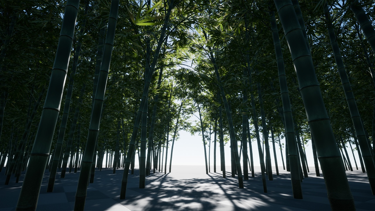 Media 1 for listing XBH TREE Vol. 3