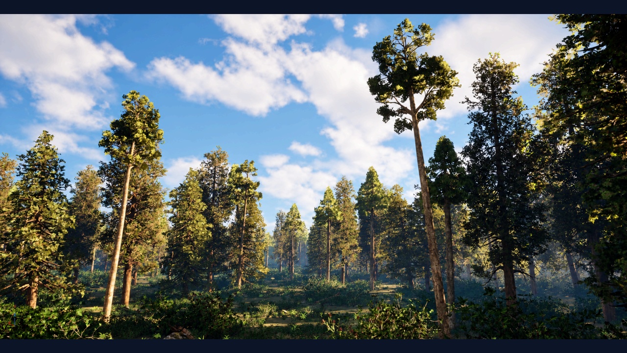 Media 1 for listing Dry Pine Pacific Northwest Forest – PCG Environment