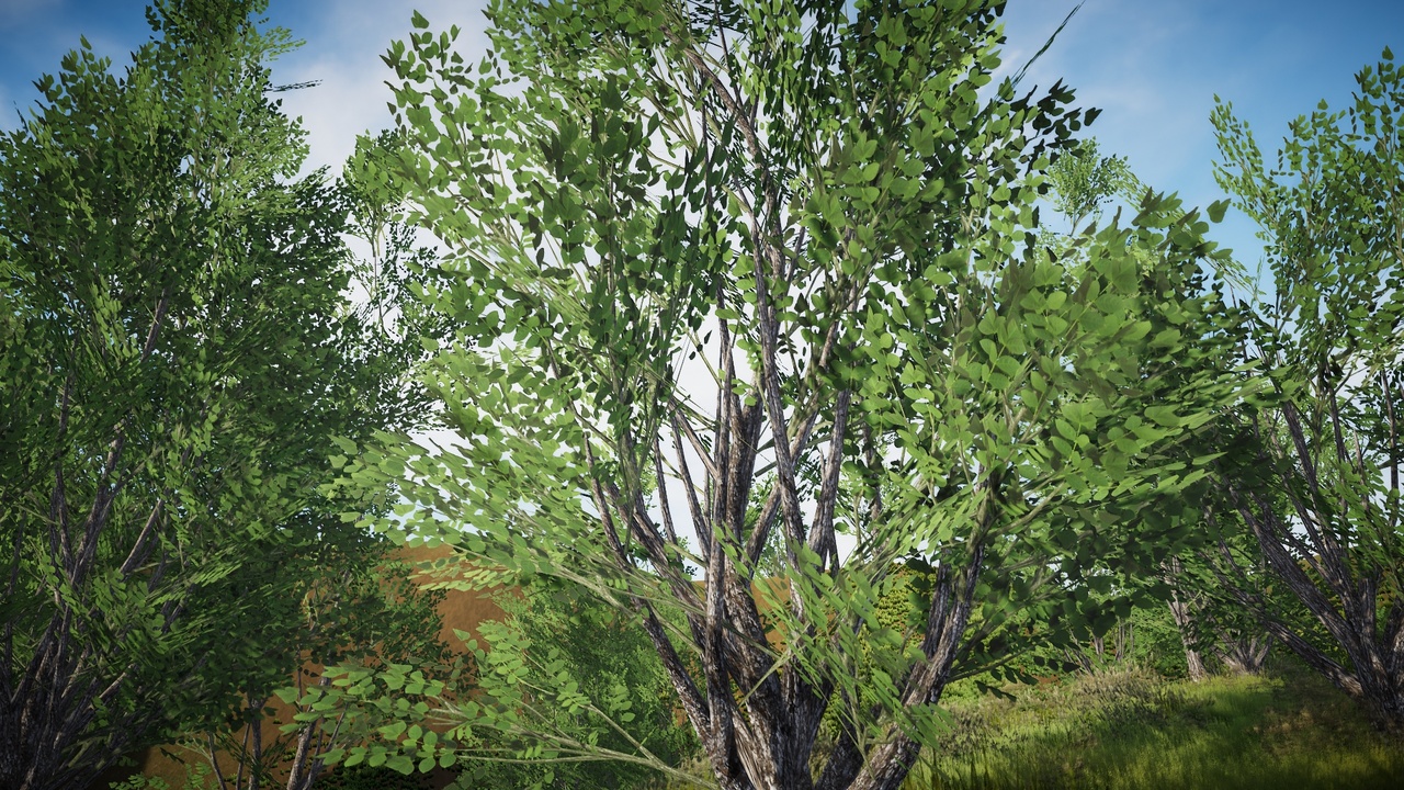 Media 1 for listing Desktop Trees Pack 34 (PC/Console)