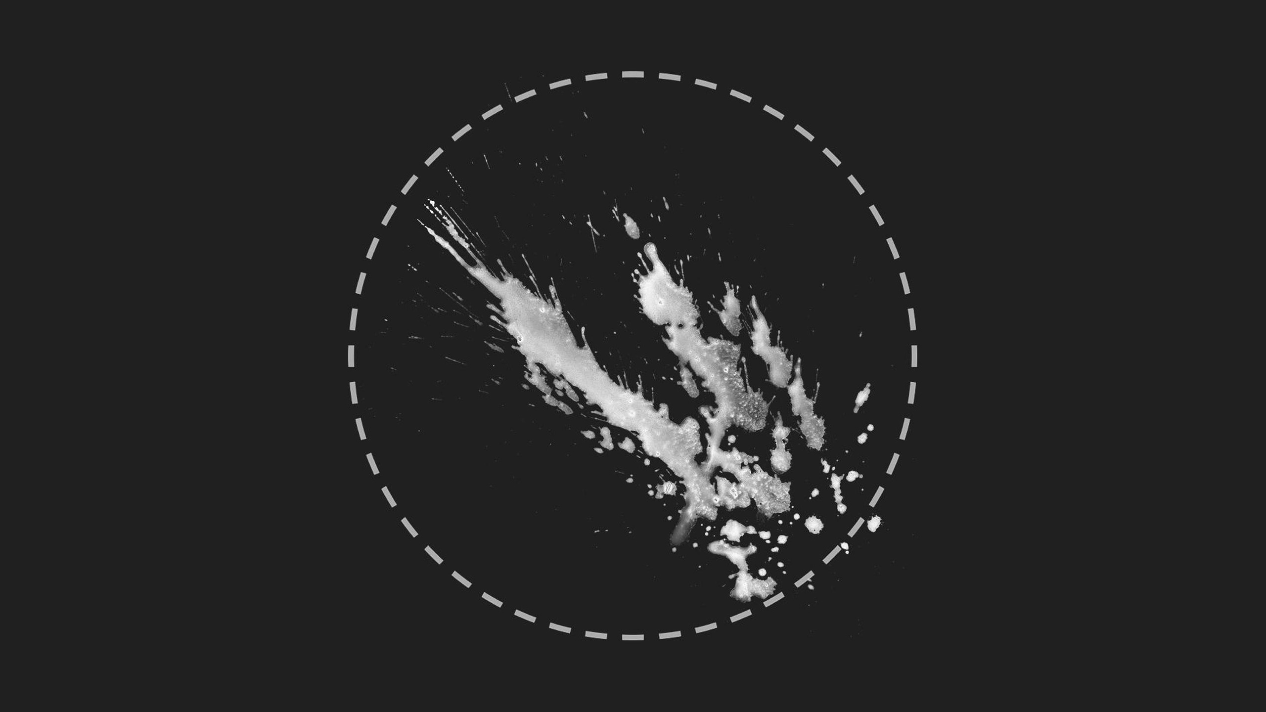 Media 1 for listing Mud Splash