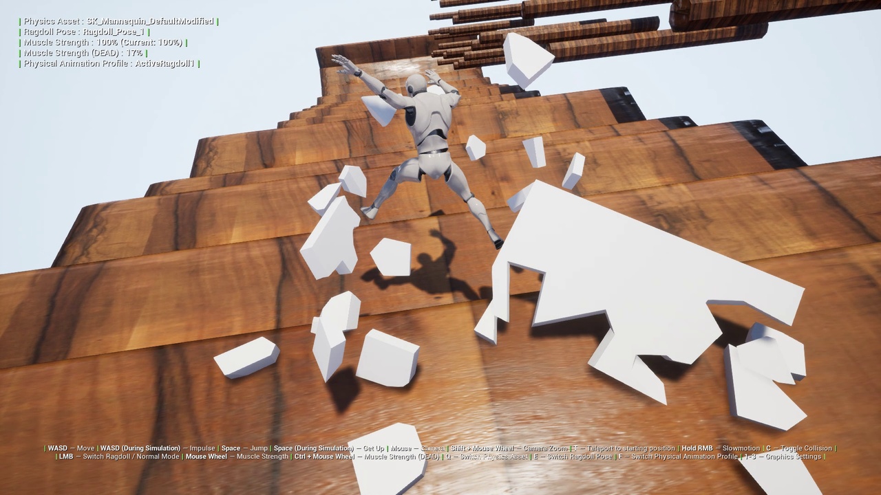 Media 1 for listing Active Ragdoll