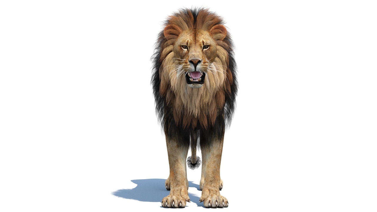 Media 1 for listing Lion 3D Model
