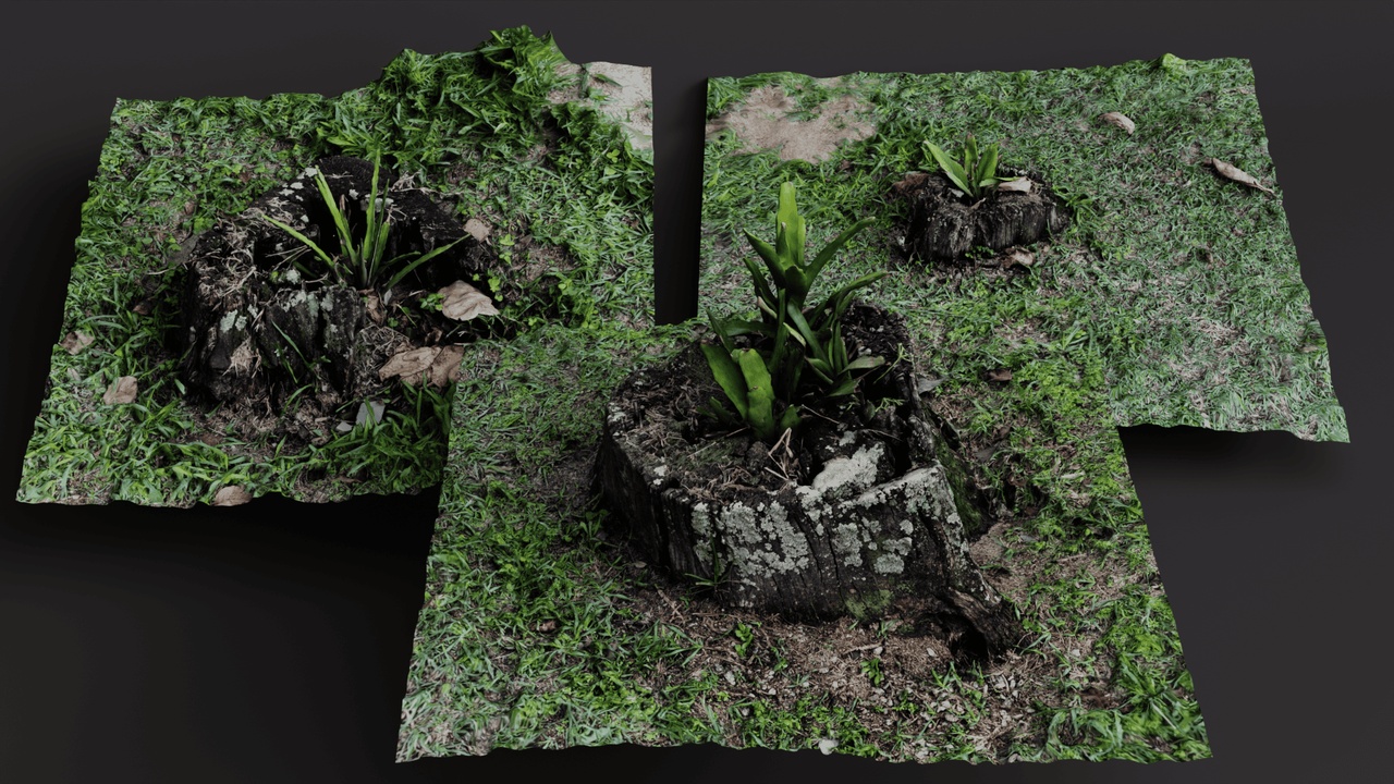 Media 1 for listing Tree Stump with Wild Vegetation Pack