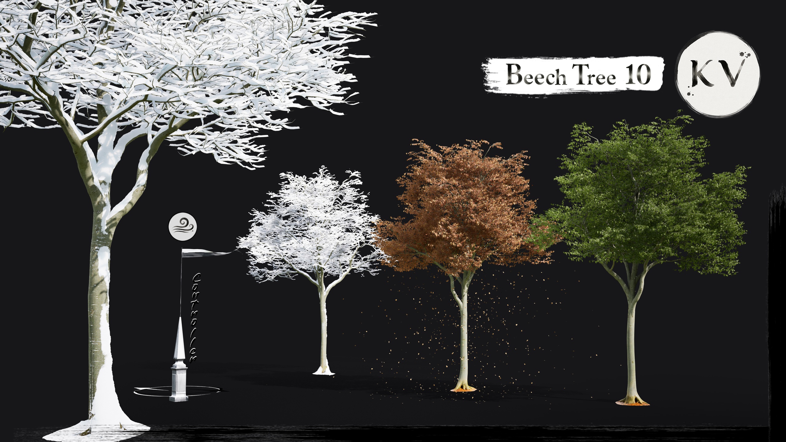 Media 1 for listing KV 🌳 Beech Tree 10 — Cinematic Animated Tree |Nanite | Wind | Seasons|