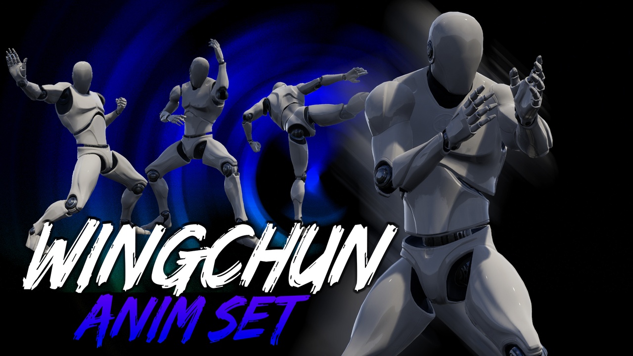 Media 1 for listing Wingchun AnimSet