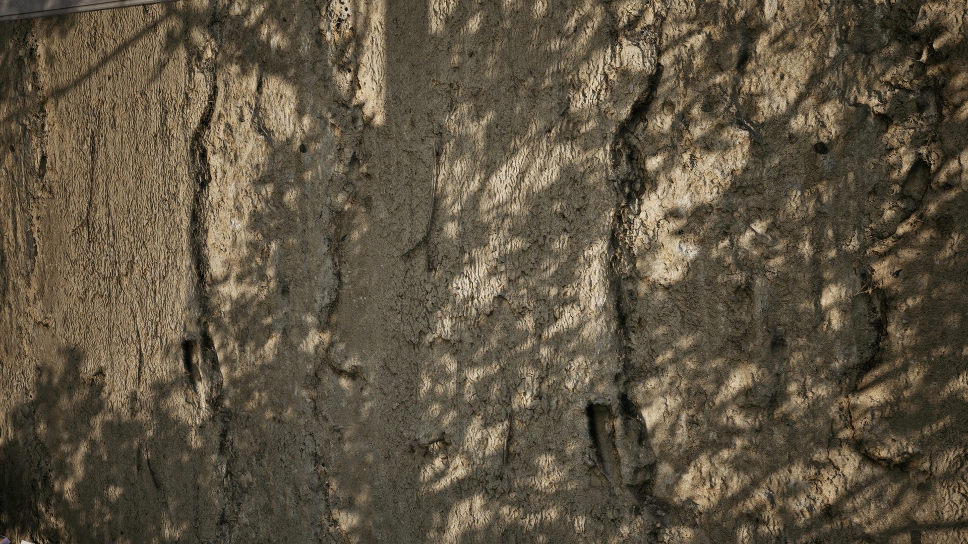 Media 1 for listing Rocks 01 - Scanned Photogrammetry Materials