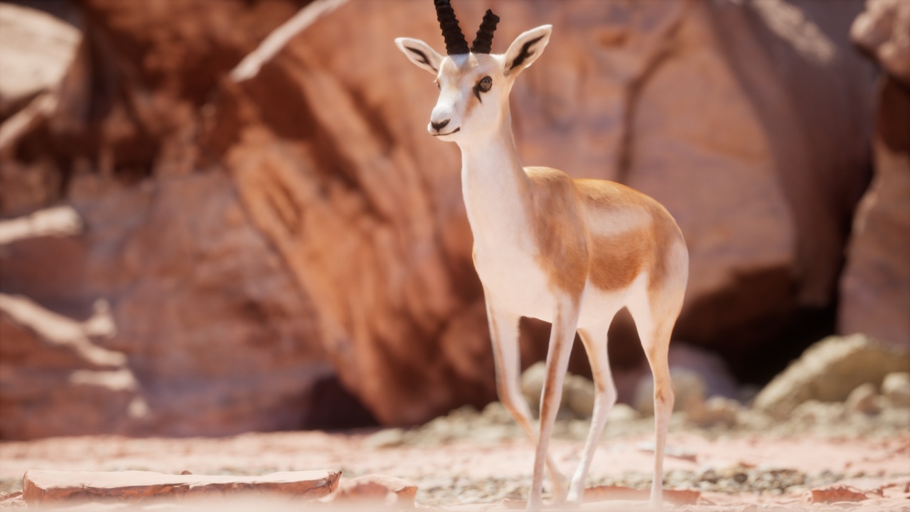 Media 1 for listing Unreal Engine Ready - Realistic Sand Gazelle - Animated