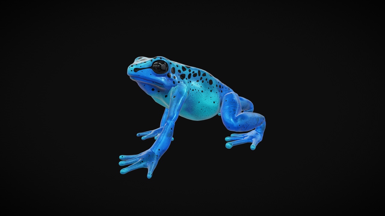 Media 1 for listing Blue Poison Dart Frog 3D, PBR Low poly