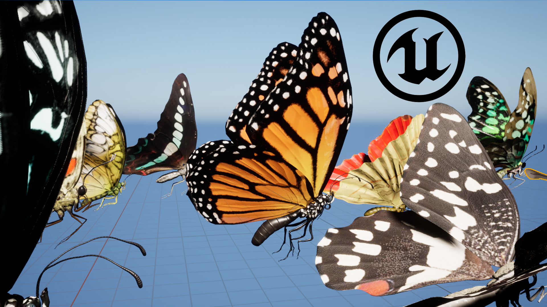 18 Animated Butterflies Pack | Fab