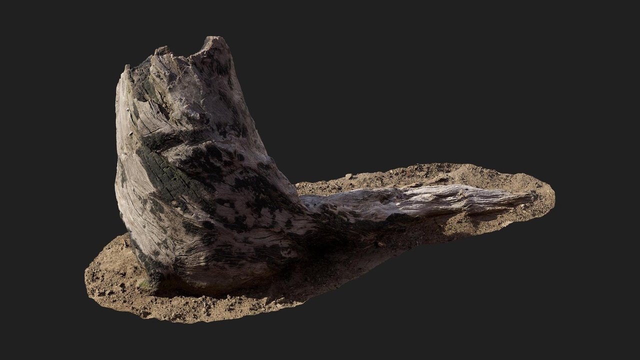 Media 1 for listing Burnt Tree Stump