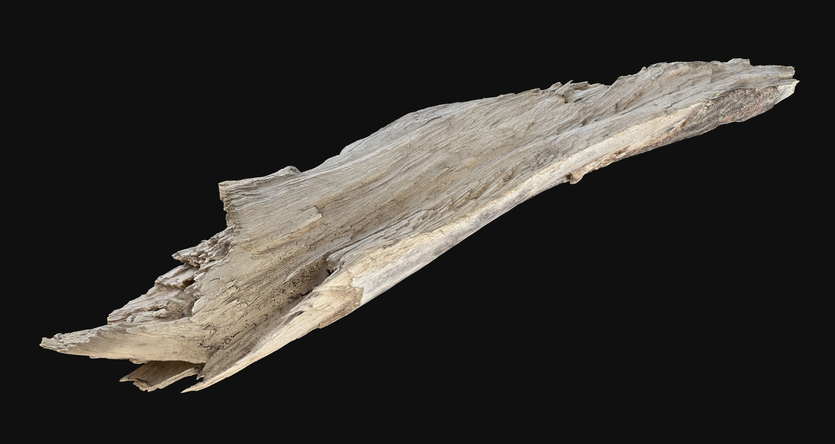 Cracked Peeling tree trunk in the real world 3d scan in highpoly | Fab