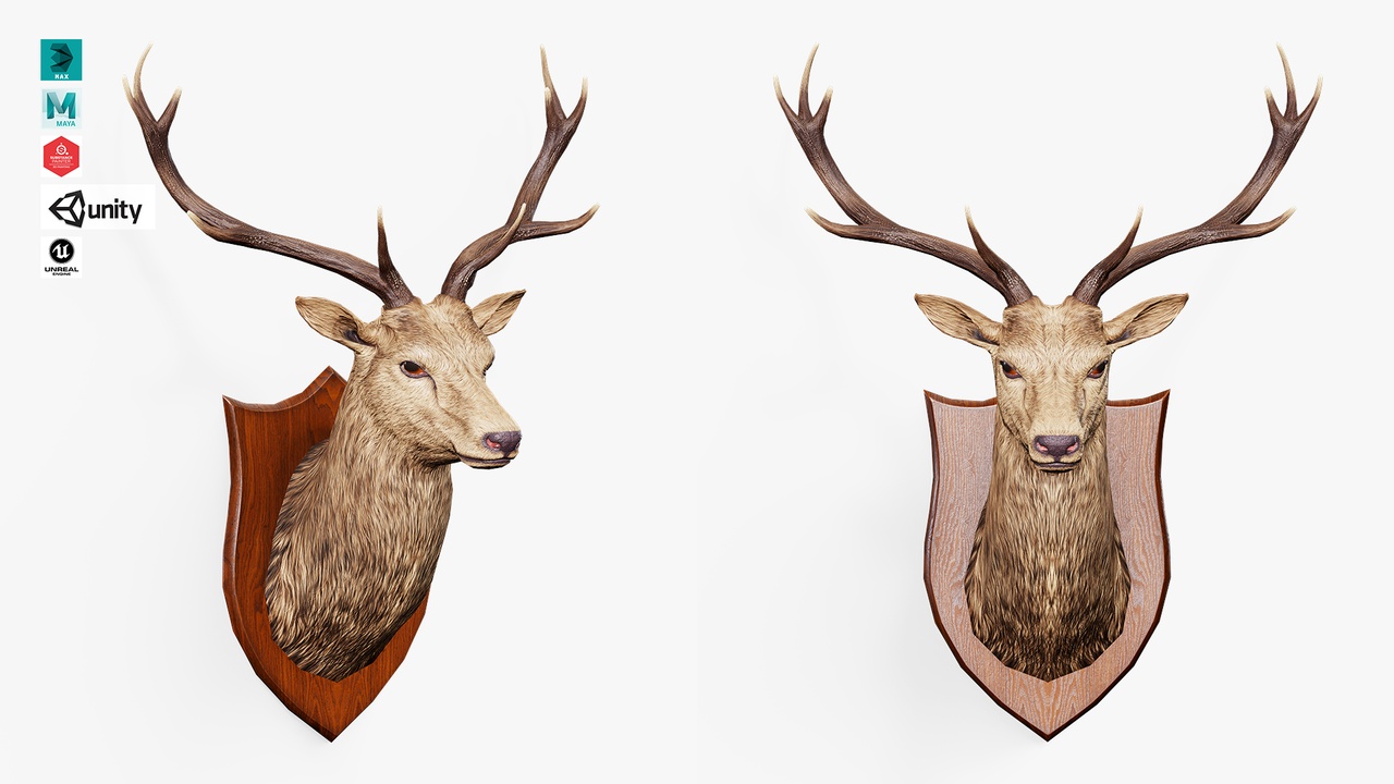 Mídia 1 do anúncio Trophy Deer Stag