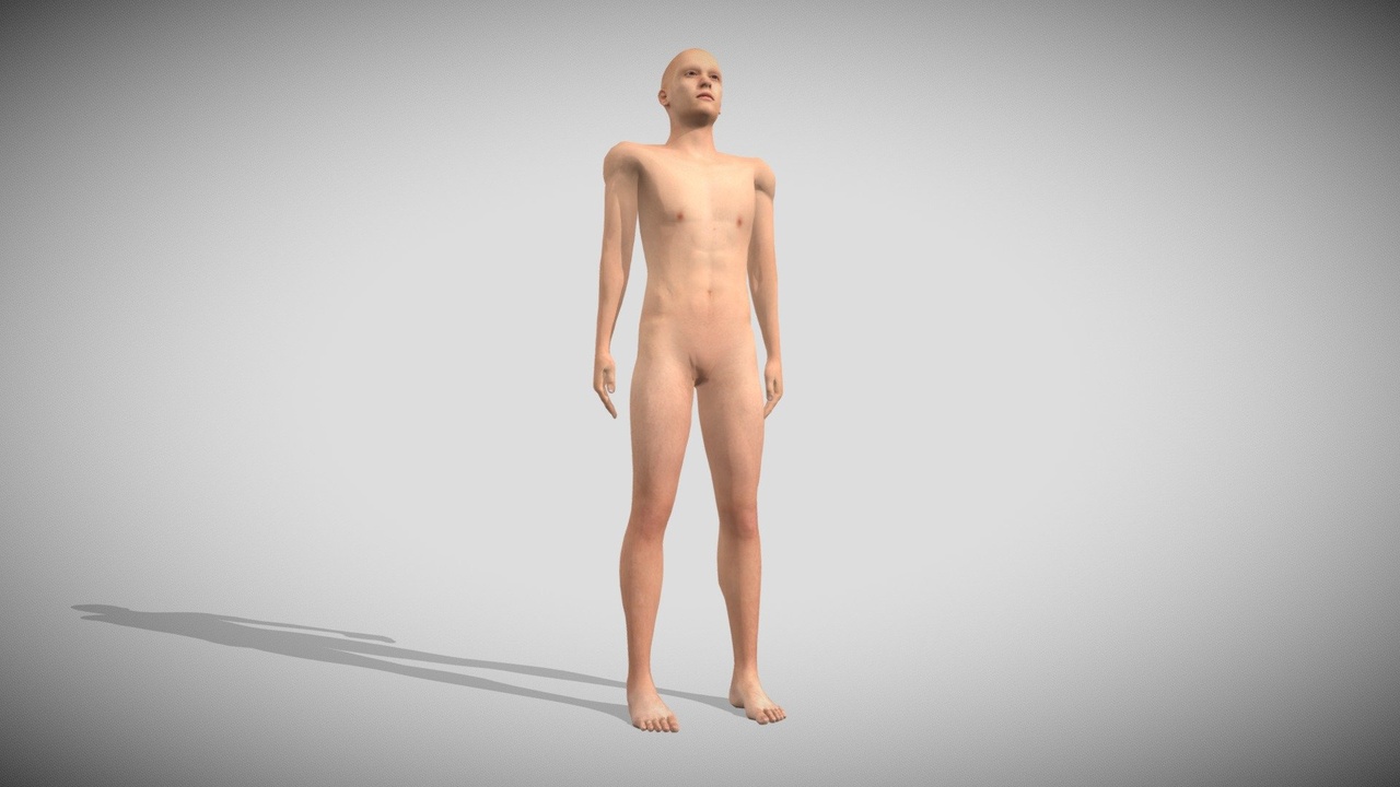 Media 1 for listing Male Character Base - Rigged