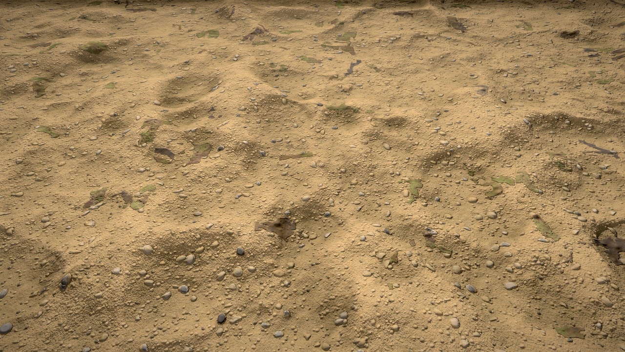 Media 1 for listing PBR Procedural Rocky Sand 03 Material