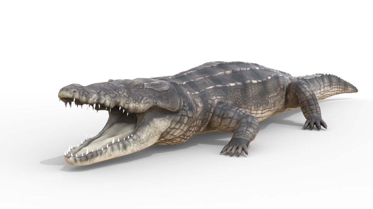 Medium 1 für Eintrag Animated Crocodile 3D Model – Realistic Animal | Rigged & Game Ready