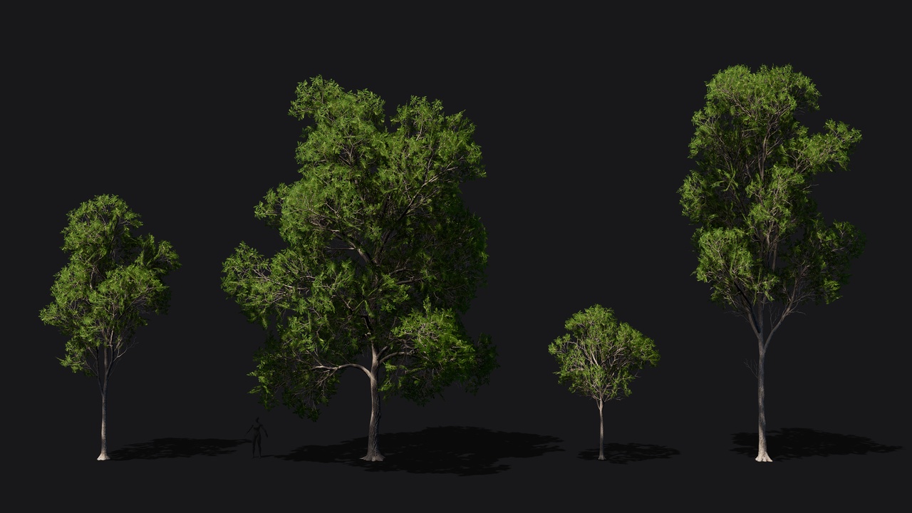 Media 1 for listing Ash trees game ready low poly pack
