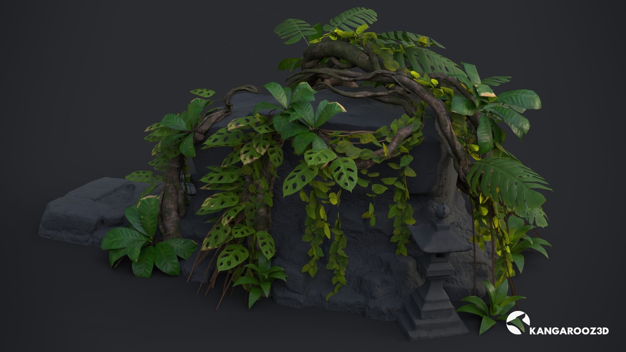 Media 1 for listing Monstera Plant Set