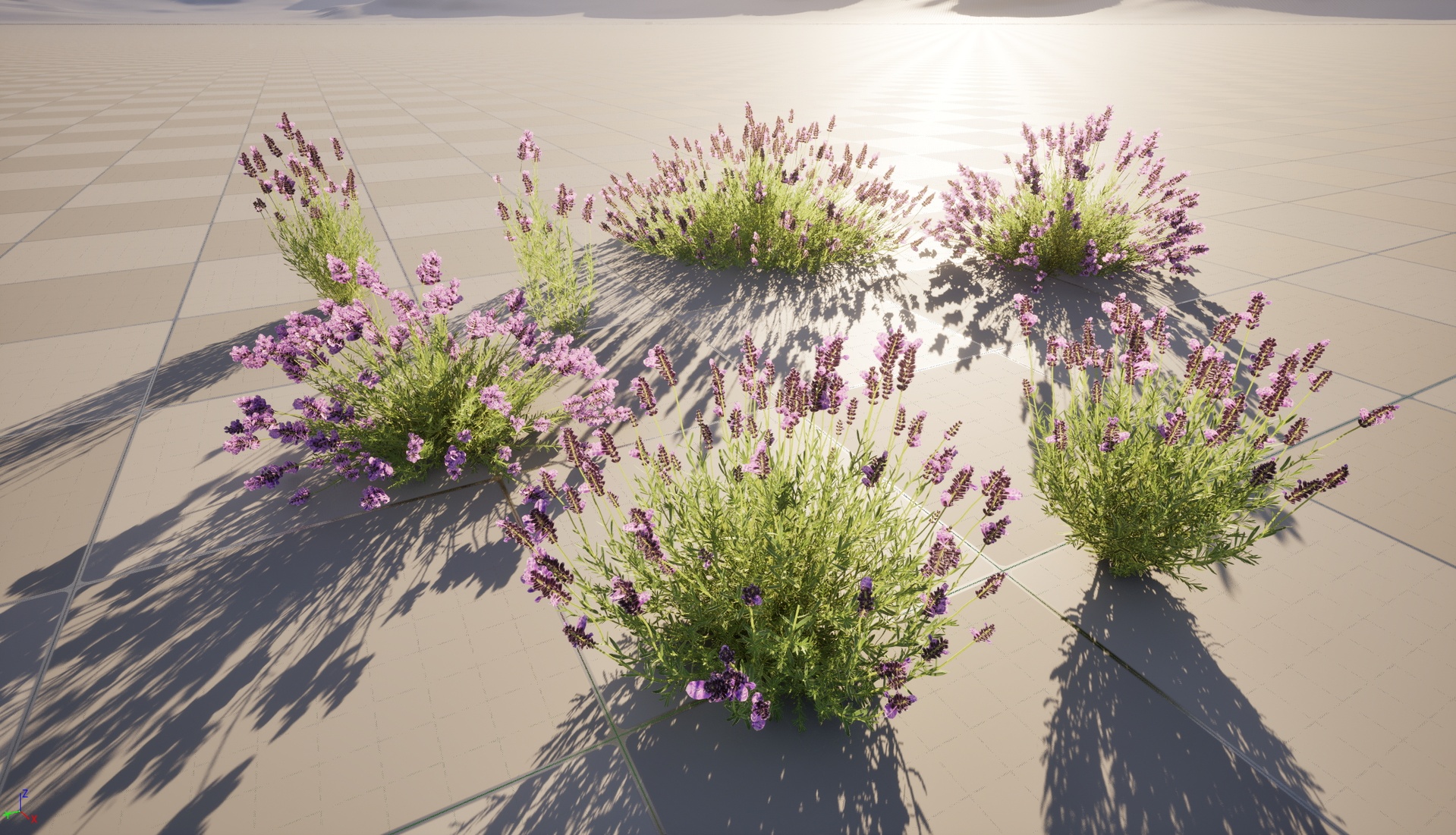 Media 1 for listing UE5 Wind Flower - Lavandula Angustifolia English Lavend (Highpoly+Low Poly)