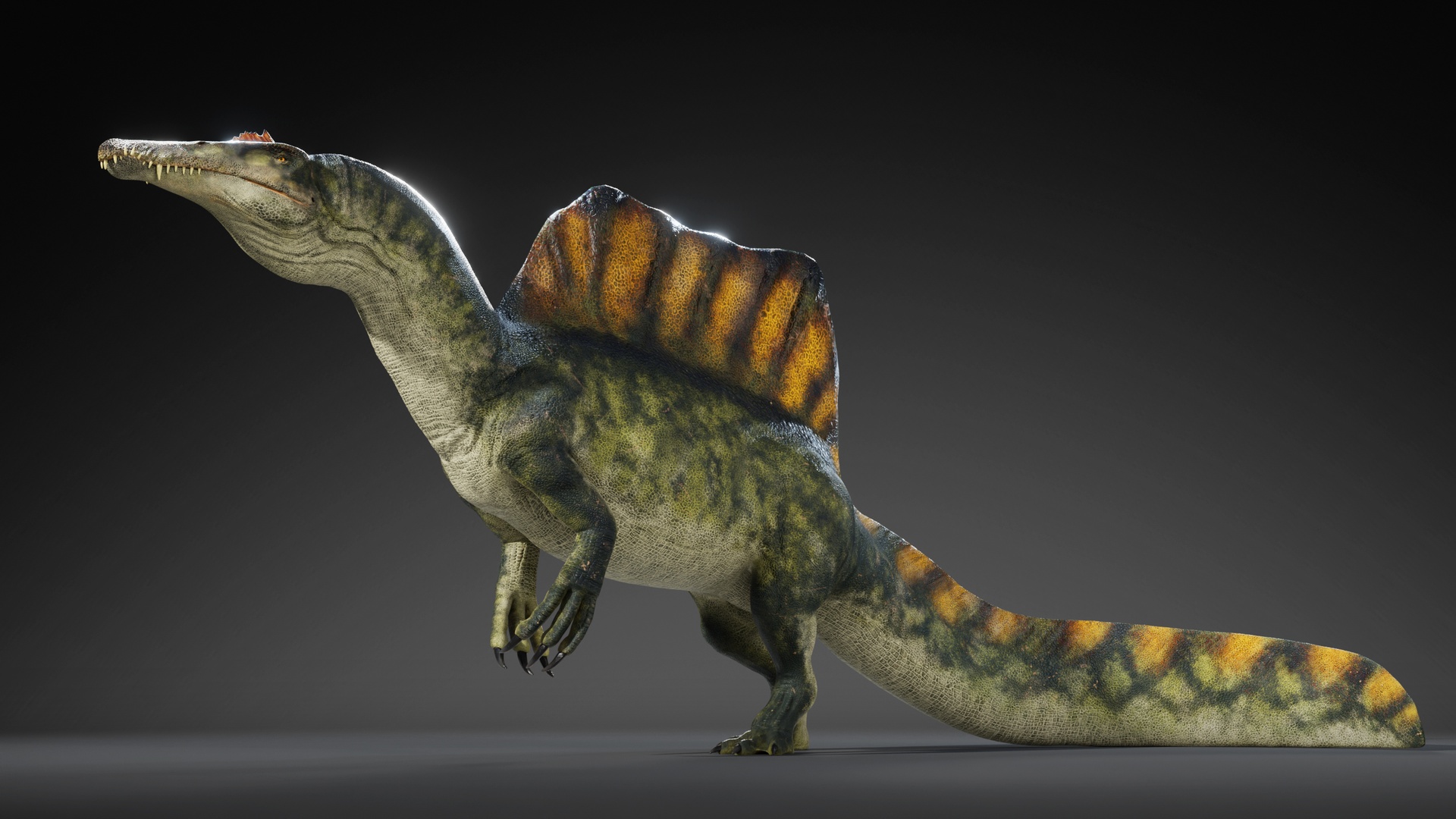 Media 1 for listing Spinosaurus Rig