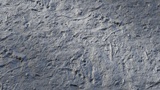 Asset image