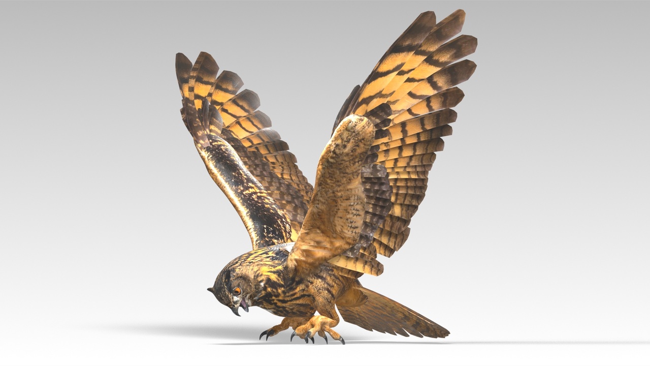 Media 1 for listing Eagle Owl - Animated Low Poly 3D Model