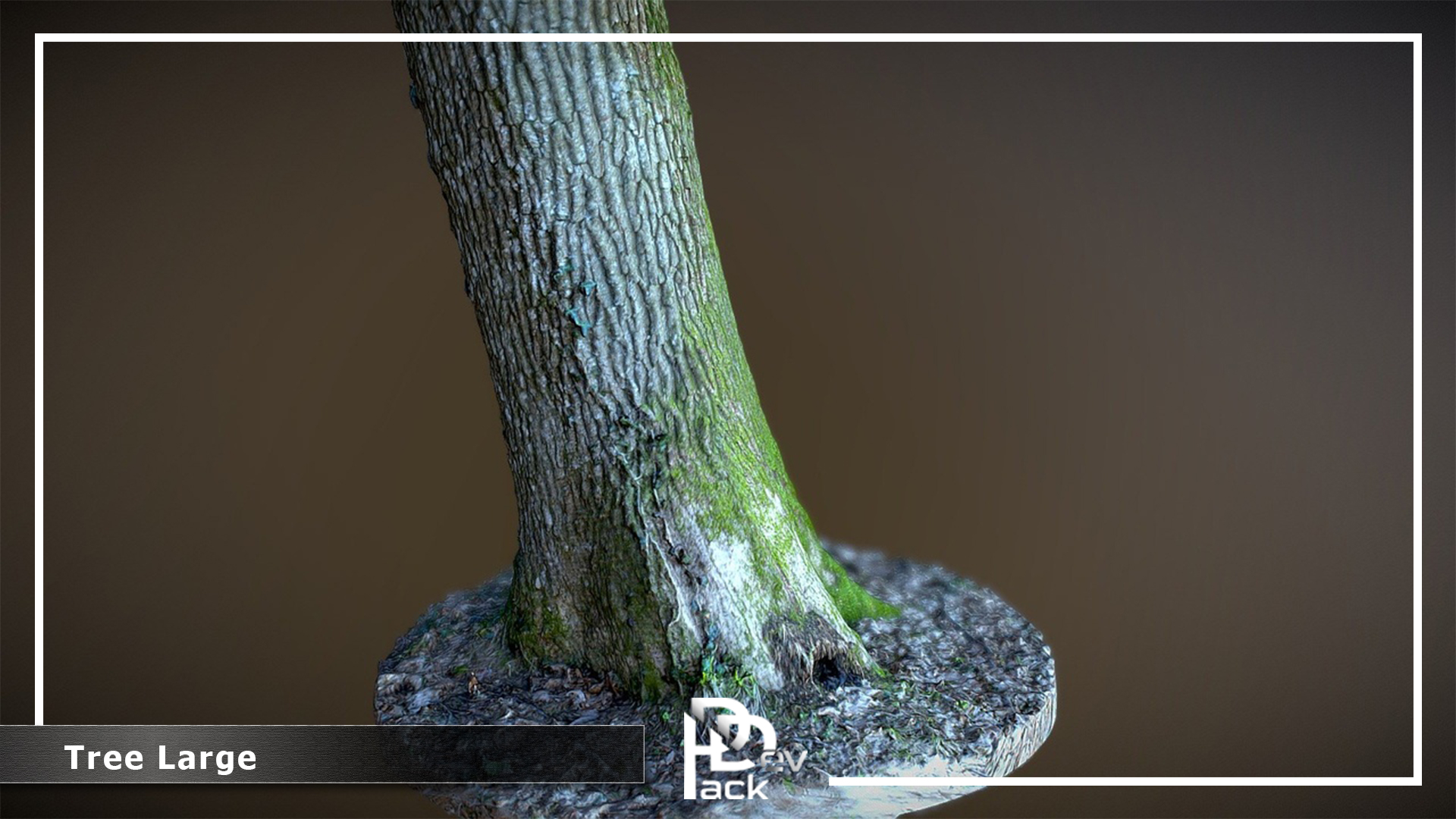 Tree Large | Fab