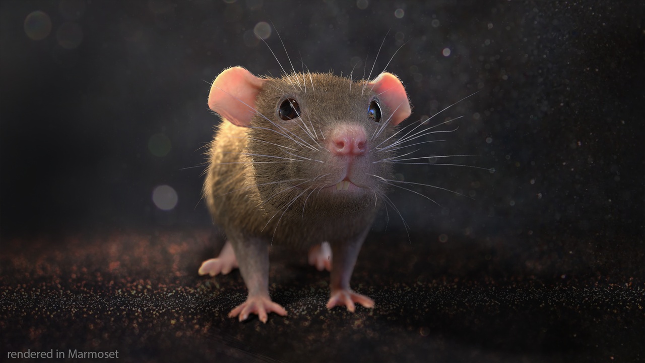 Media 1 for listing Mouse