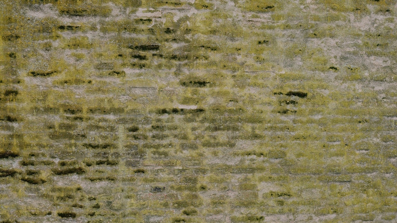 Media 1 for listing Mossy bricks wall
