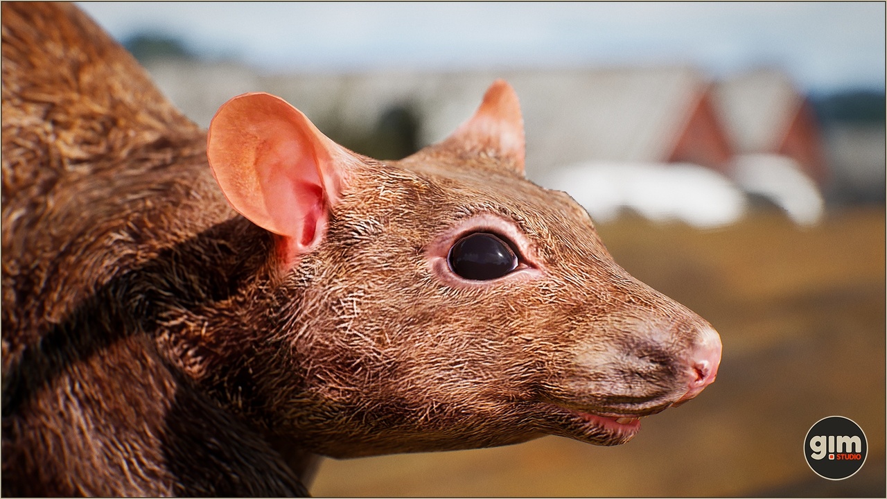 Media 1 for listing Animalia - Rat