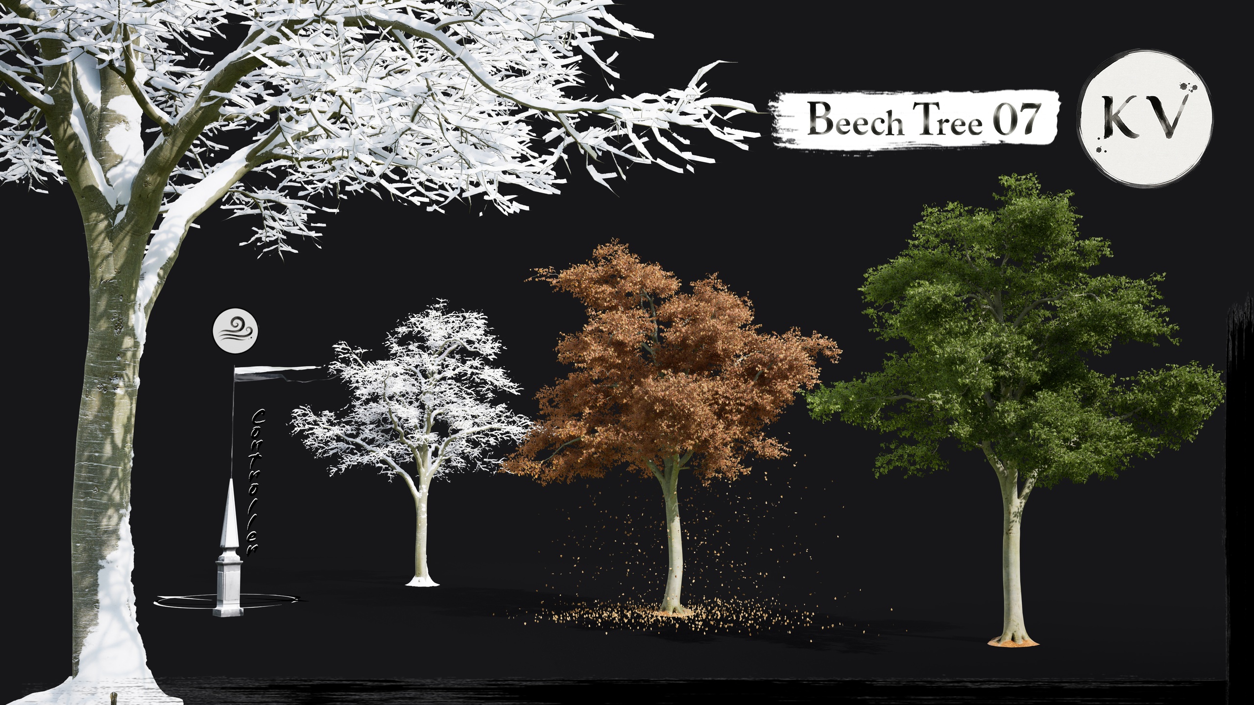 Media 1 for listing KV 🌳 Beech Tree 07 — Cinematic Animated Tree |Nanite | Wind | Seasons|