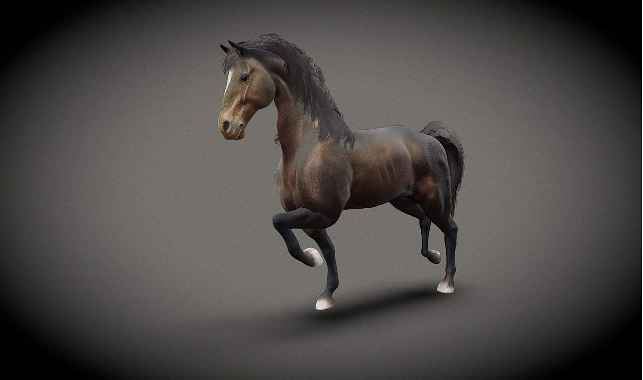 Media 1 for listing Low Poly Animated black horse - Game Ready