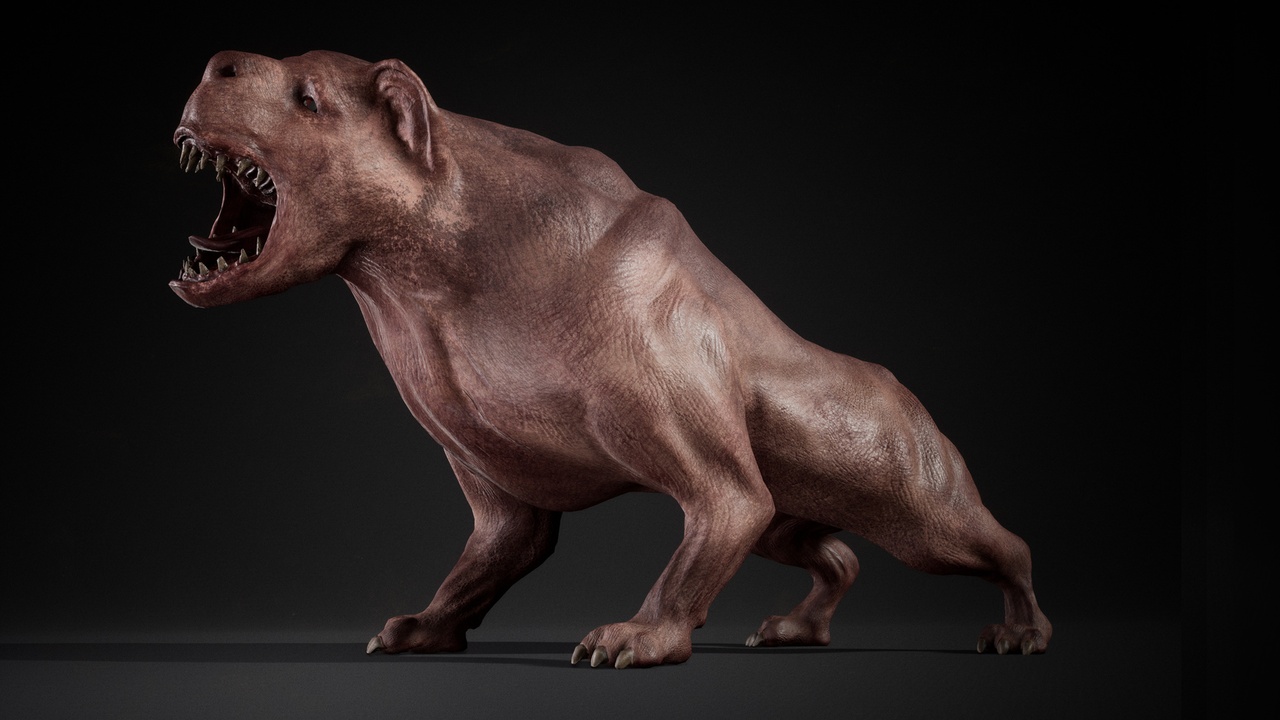 商品 Monster Dog 的媒体 1