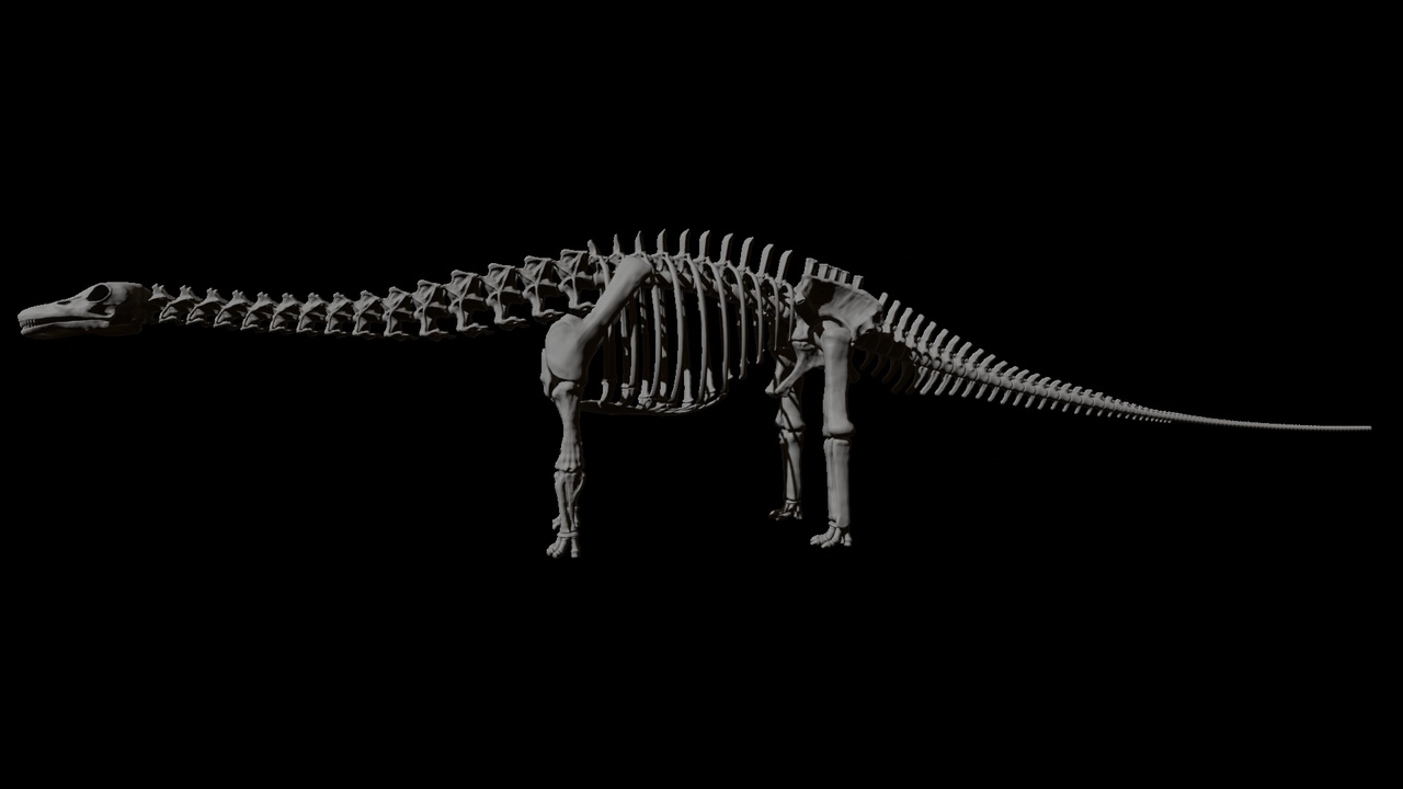 Media 1 for listing Brotosaur Bones