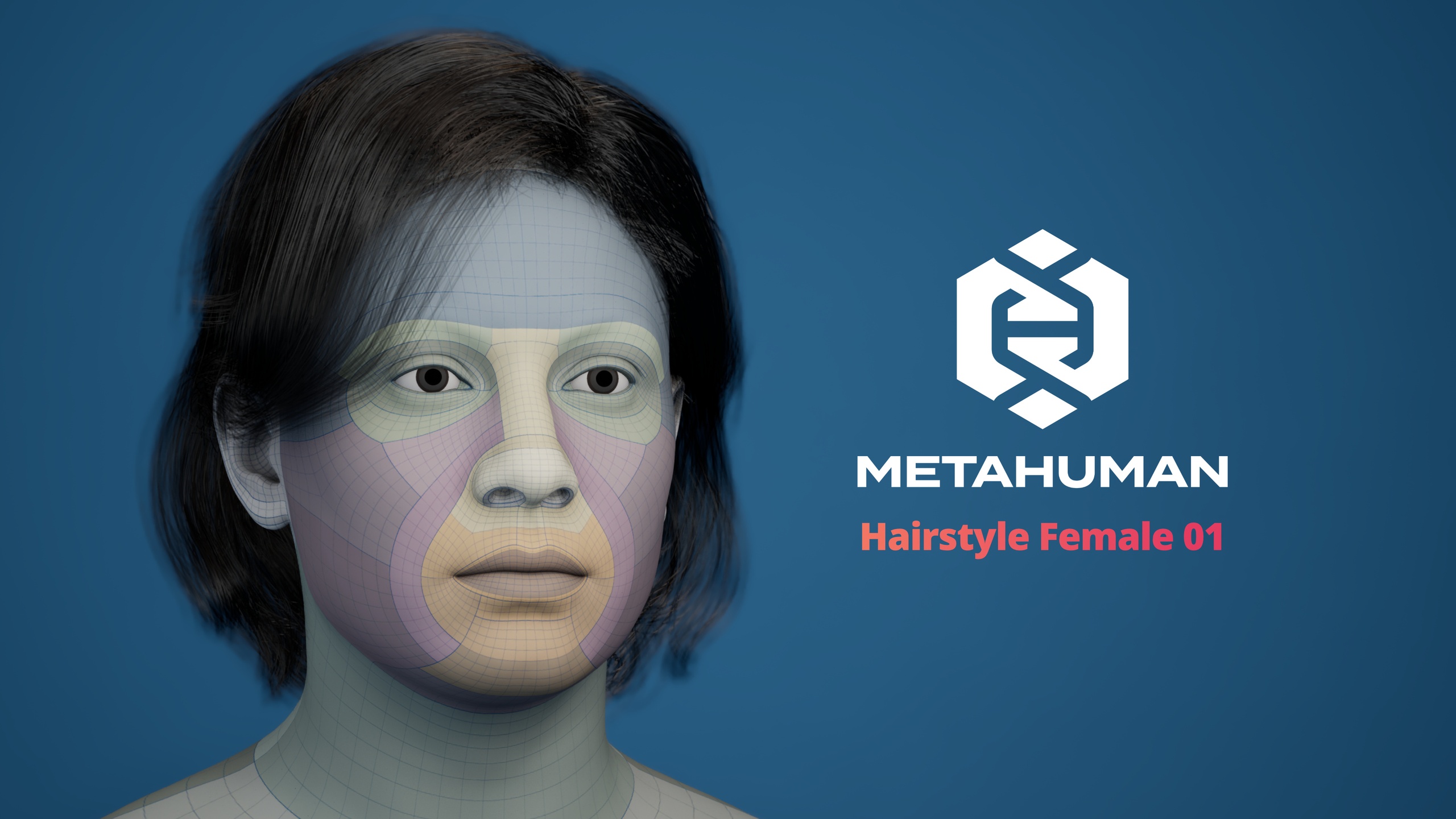 File multimediali per l'articolo MetaHuman Hairstyle Female 01 Groom: 1