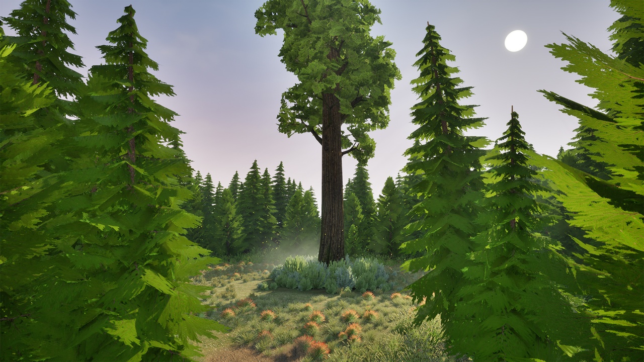 Media 1 for listing Coniferous Forest