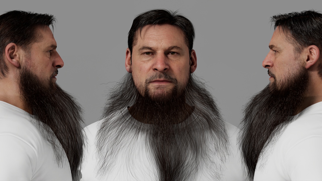 Media 1 for listing Big Biker Santa Beard for your metahumans