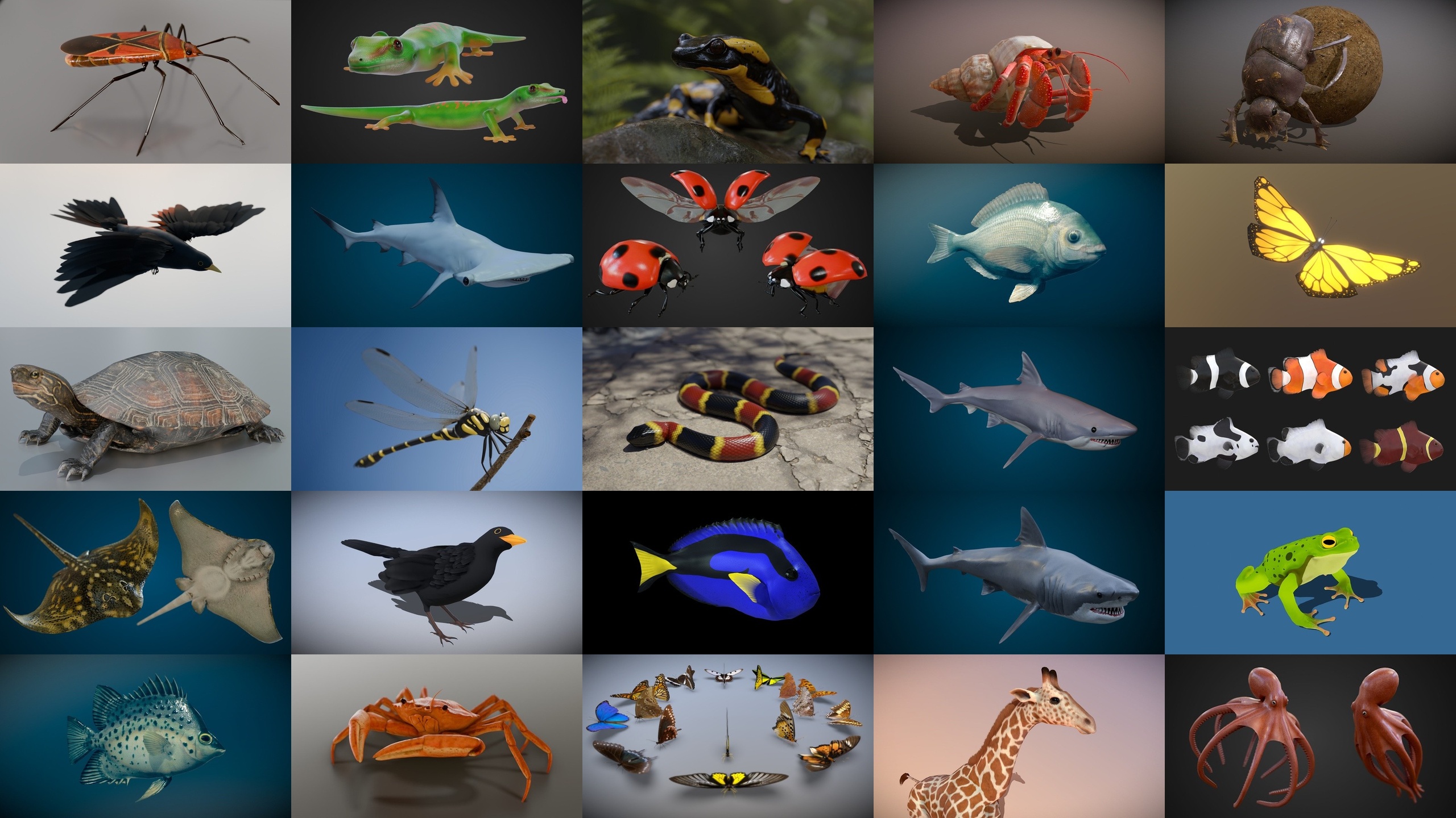 Media 1 for listing Animated Animals and Insects pack (32)