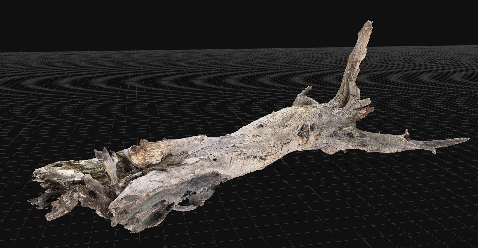 Dead old tree of the real world 3d scan highpoly | Fab