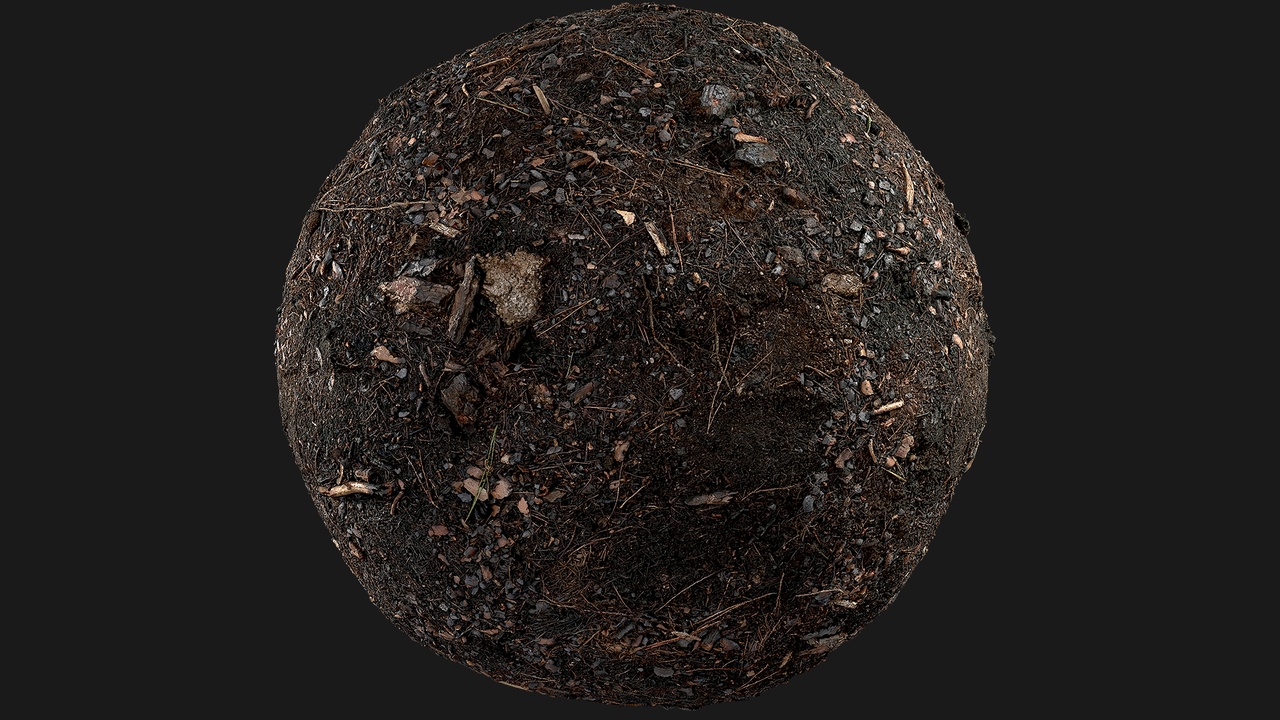 Media 1 for listing Burnt Forest Ground (MS2Um8)