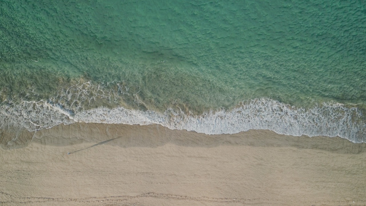 Media 1 for listing Beach & Ocean Shoreline 3D Model